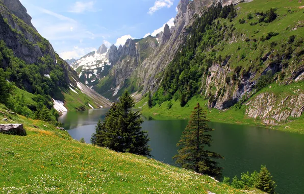 Картинка деревья, горы, озеро, скалы, Швейцария, Fälensee