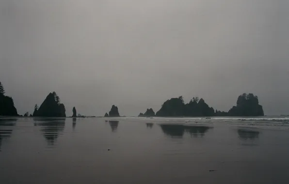 Waves, beach, rocks, fog, seaside, mist, cloudy