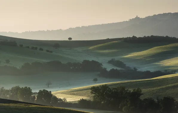 Картинка деревья, туман, холмы, поля, утро, Италия