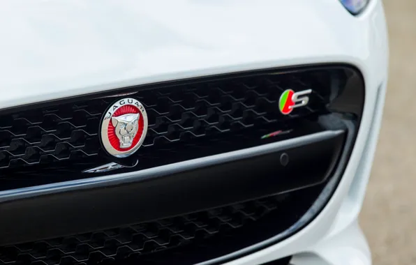 Картинка дизайн, купе, логотип, ягуар, спорткар, бампер, Jaguar F-Type Coupe 2014, V6-S