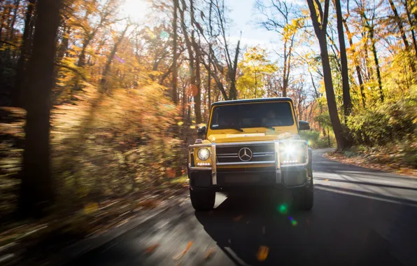 Осень, Mercedes-Benz, скорость, вид спереди, AMG, G-Class, Gelandewagen, G63