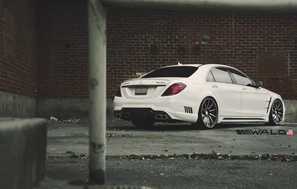 TUNING, WALD, MERCEDES, BENZ, BLACK BISON, W222, S-CLASS