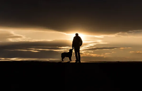 Картинка закат, человек, собака, Portland, Maine, Sumner Park, The Touch