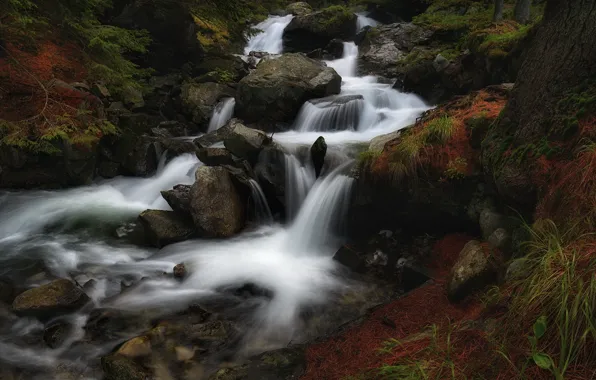 Лес, вода, пейзаж, природа, темный фон, камни, водопад, поток