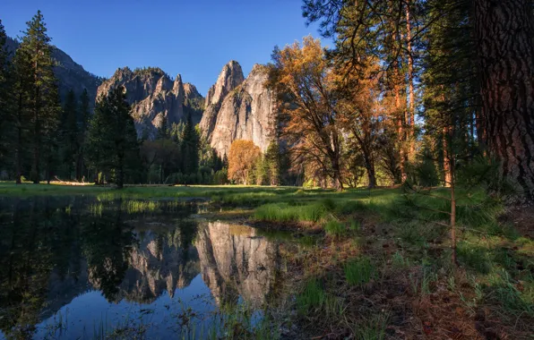 Вода, деревья, отражение, скалы, США, Йосемити, Cathedral Rocks