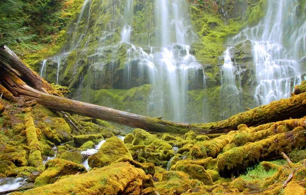 Картинка скала, камни, водопад, мох, США, Oregon, Alder Springs