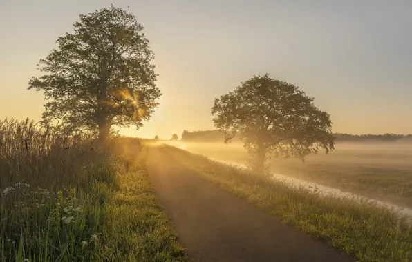 Картинка Holland, Sunrise, Early Mornings, Alblasserwaard, Kooiwijk