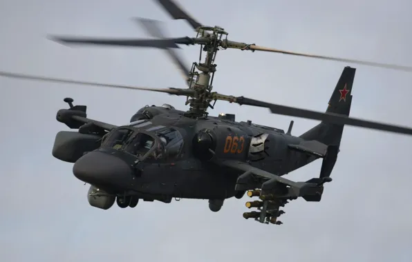 Полет, вертолёт, российский, Ка-52, ударный, «Аллигатор»