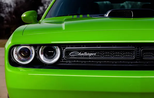 Оптика, Dodge, Challenger, Muscle Car, R/T 2015