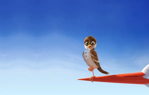 Cinema, sky, bird, movie, Richard, film, Storks