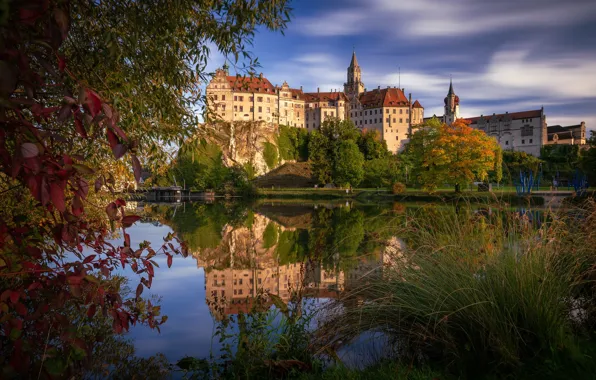 Трава, деревья, ветки, отражение, река, замок, Германия, Germany
