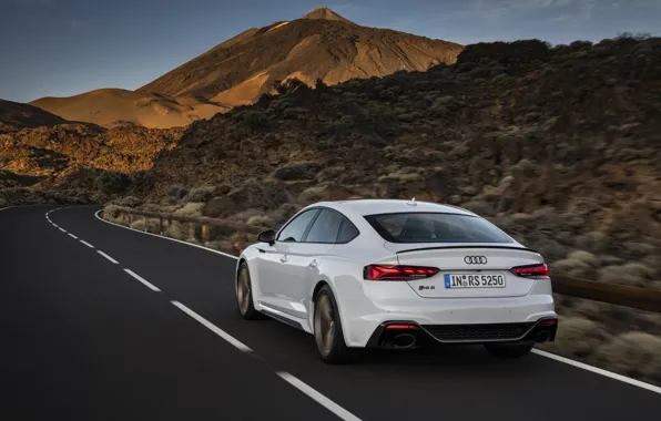 Дорога, Audi, вид сзади, RS5, Sportback, RS 5, 2020
