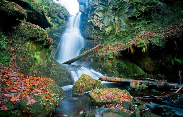 Картинка листья, камни, водопад, Шотландия, брёвна