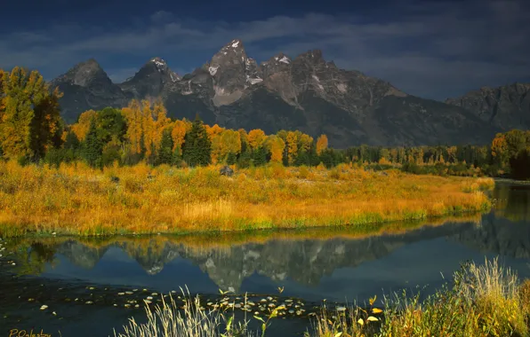 Осень, горы, река, сша, Национальный парк, Тетон