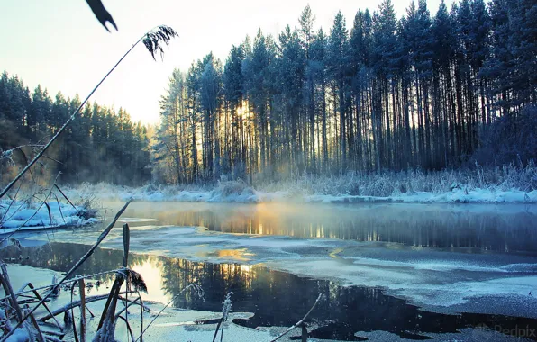 Зима, снег, деревья, пейзаж, река