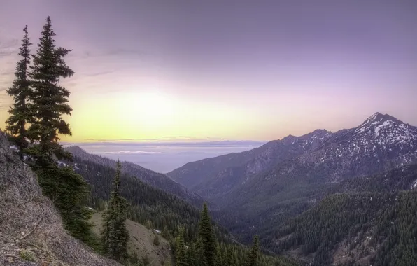 Восход, рассвет, панорама, Washington, штат Вашингтон, Olympic National Park, Olympic Mountains, Hurricane Ridge