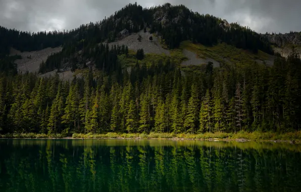 Картинка лес, горы, озеро, отражение, вершины, ели