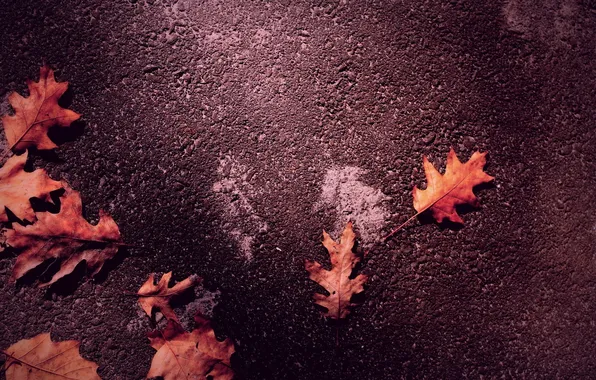Картинка осень, листья, autumn
