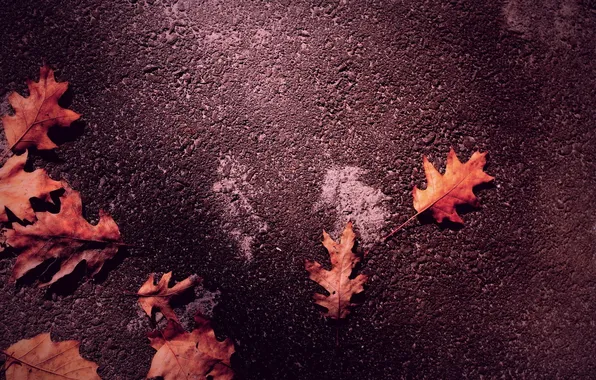 Осень, листья, autumn