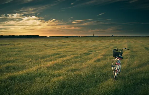 Картинка поле, природа, велосипед, вечер, bike