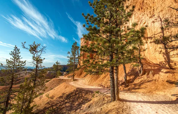 Картинка небо, солнце, деревья, скалы, тропинка, Utah, Bryce Canyon National Park