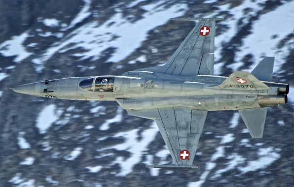 Истребитель, полёт, многоцелевой, Tiger II, F-5E, лёгкий, «Тайгер» II