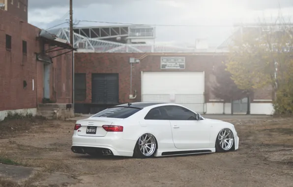 Картинка Audi, ауди, white, low, stance