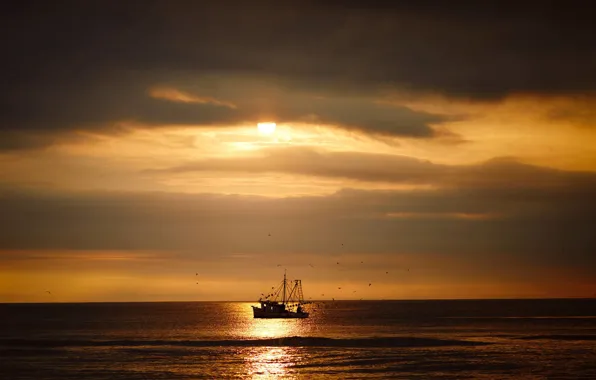 Небо, солнце, тучи, океан, вечер, ocean, fishing ship on horizon, Jaxam dawn