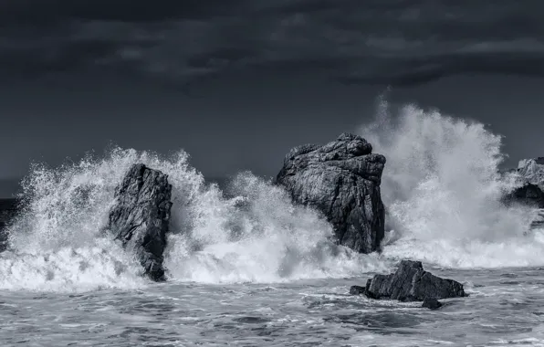 Волны, шторм, фото, океан, черно-белое