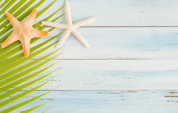 Пляж, лето, доски, звезда, summer, beach, wood, starfish