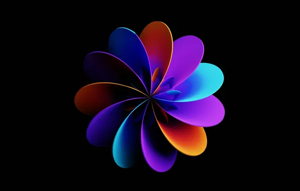 Черный фон, Лепестки, Абстракция, Abstract, Цветок Света, Flower Of Light
