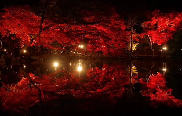 Картинка осень, свет, деревья, ночь, огни, пруд, парк, отражение