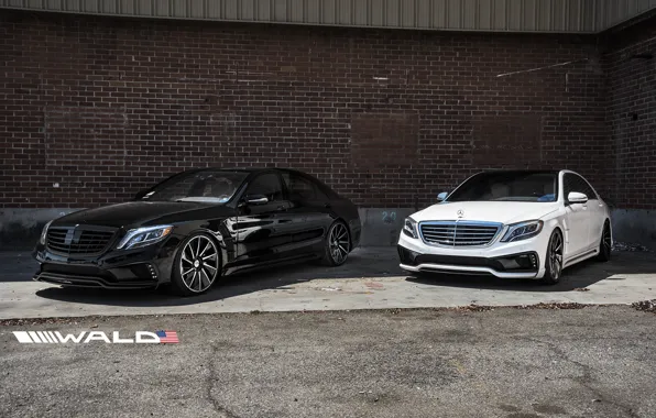 TUNING, WALD, MERCEDES, BENZ, BLACK BISON, W222, S-CLASS