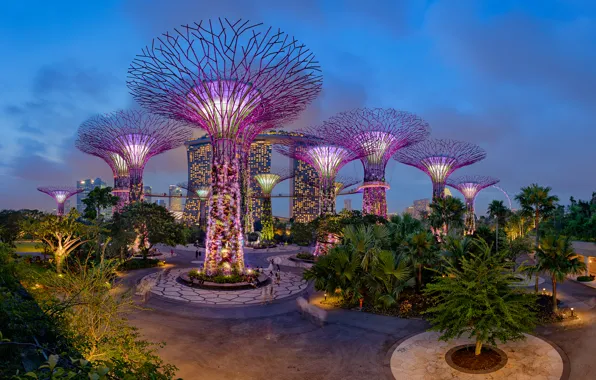 Картинка деревья, ночь, дизайн, огни, парк, пальмы, сад, Сингапур