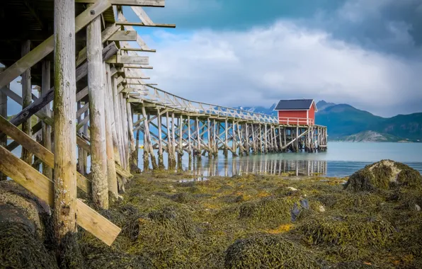 Море, мост, берег, Norway, Nordland, Sorsjoen