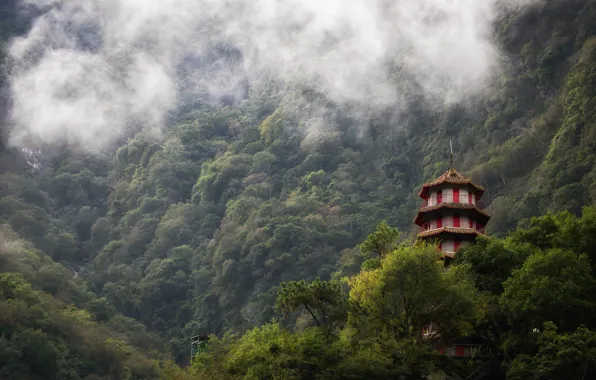 Горы, туман, леса, Taiwan, Taroko Gorge, зелет