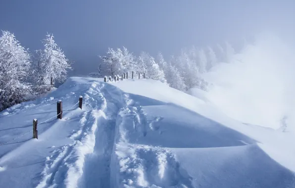 Картинка зима, снег, туман, забор