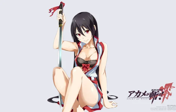 Девушка, меч, anime, art, akame, akame ga kill