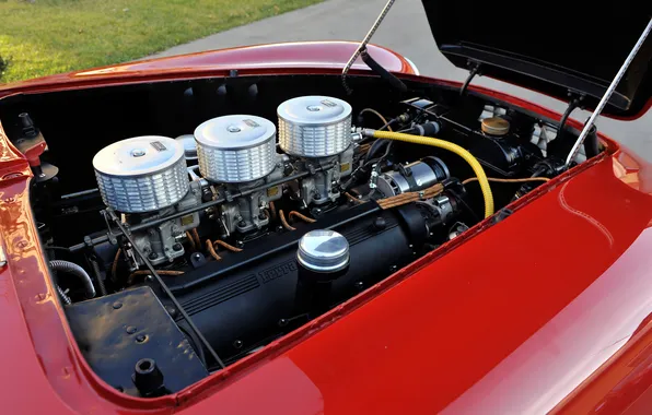 Феррари, спорт кар, Spyder, 1951, Ferrari 212, Export, Ferrari 212 Export Spyder