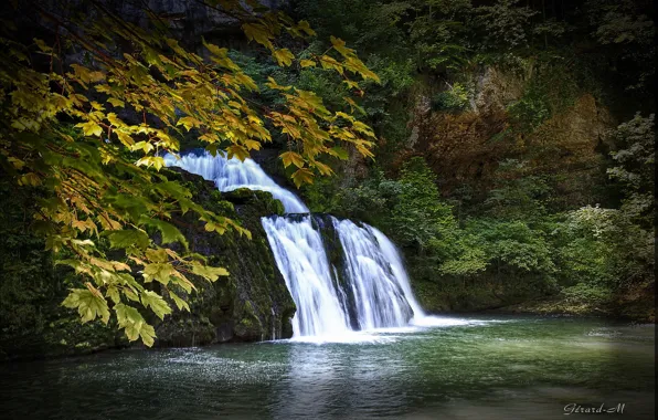 Осень, листья, деревья, ветки, водопад