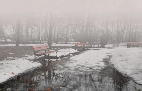 Картинка зима, туман, парк, скамейки