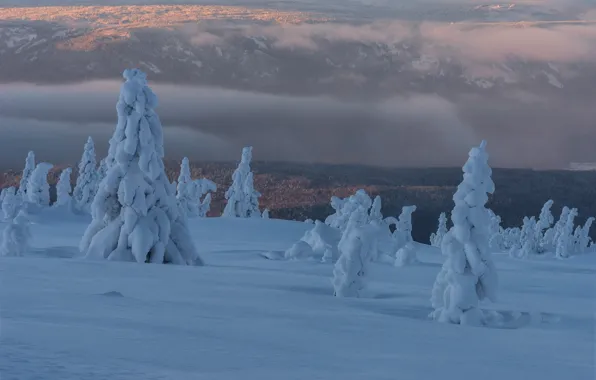 Картинка зима, облака, снег, деревья, пейзаж, природа, туман, утро