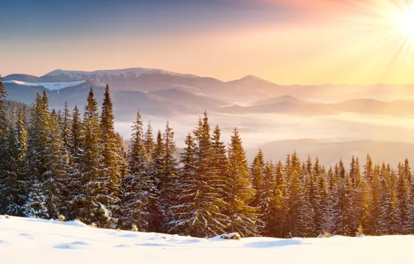 Зима, небо, облака, снег, деревья, пейзаж, горы, природа