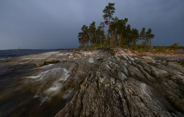 Пасмурно, сосны, водоем, каменистый берег