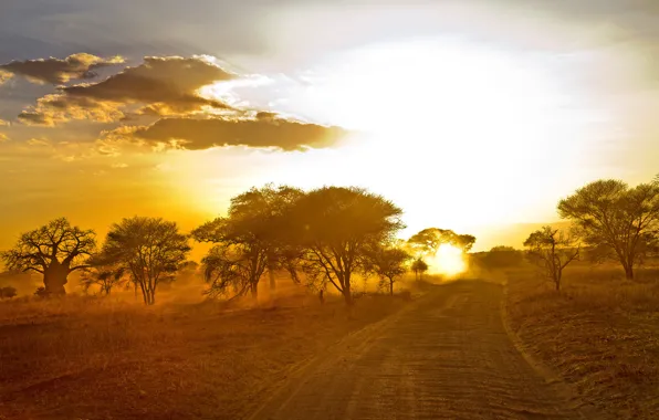 Дорога, пейзаж, утро, Африка
