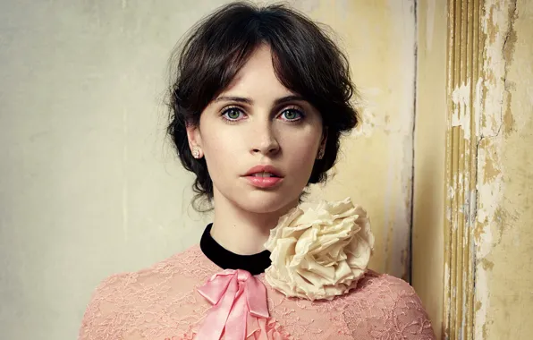 Портрет, макияж, платье, актриса, брюнетка, прическа, Фелисити Джонс, Felicity Jones