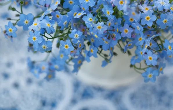 Картинка макро, цветы, природа, фон