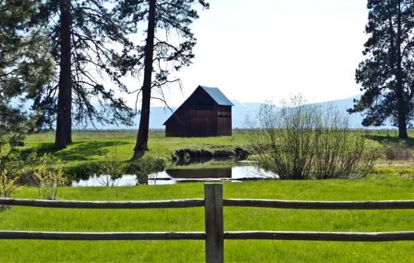 Картинка зелень, поле, трава, пруд, green, grass, trees, nature