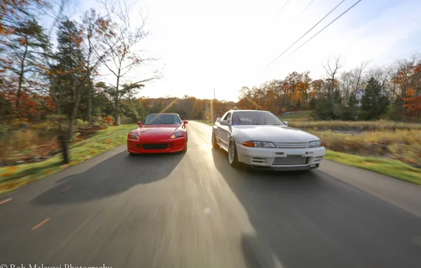 Дорога, осень, лес, nissan, turbo, red, white, honda