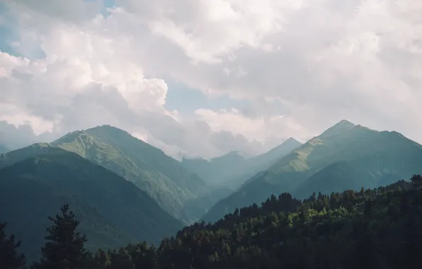 Картинка лес, облака, деревья, горы